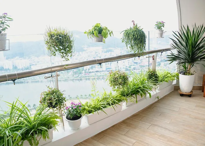 The Starry House - Citadines Apartment *
